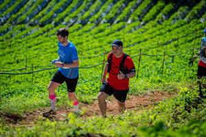 BIB: 
                            <button type="button" onclick="openModal(19163121)" class="btn btn-primary btn-sm float-right btn-popup" data-toggle="modal" data-target=".modal-high-quality">
                        <i class="fas fa-shopping-cart"></i> Add to Cart
                    </button>
                                            <button type="button" onclick="isThisMe(19163121, true)" class="btn btn-success btn-sm float-right btn-popup btn-isme hidden" data-toggle="tooltip" data-placement="bottom" title="นี่คือรูปของคุณใช่ไหม คลิกที่นี่เพื่อเอาเข้าอัลบั้ม">
                        <i class="fas fa-plus"></i> Add to album
                    </button>
                    <button type="button" onclick="isThisMe(19163121, false)" class="btn btn-warning btn-sm float-right btn-popup btn-isnotme hidden">
                        <i class="fas fa-ban"></i> Remove from album
                    </button>